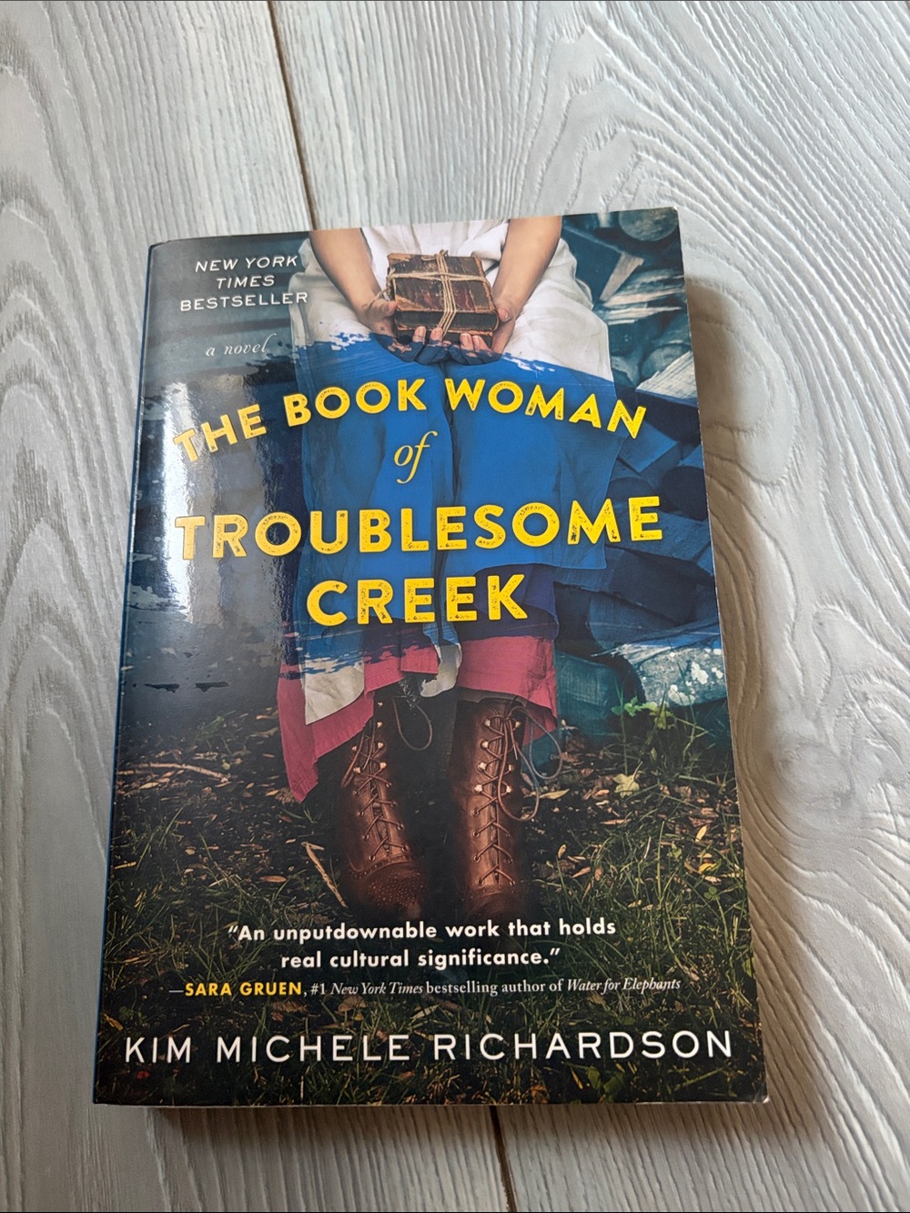 The Book Woman of Troublesome Creek - Blue & Brown Cover